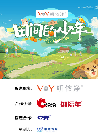 田间的少年