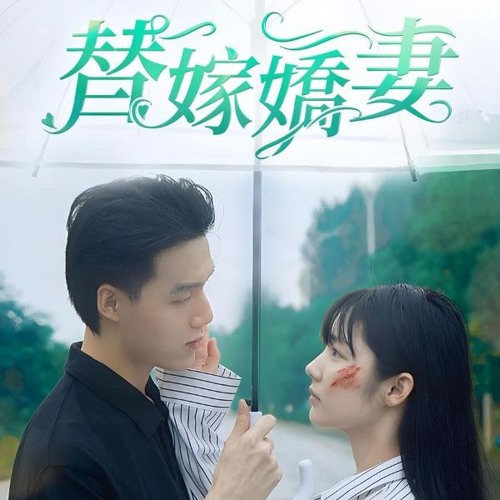 新版替嫁娇妻